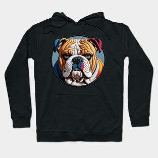 Colorblock Bulldog Embroidered Patch Hoodie